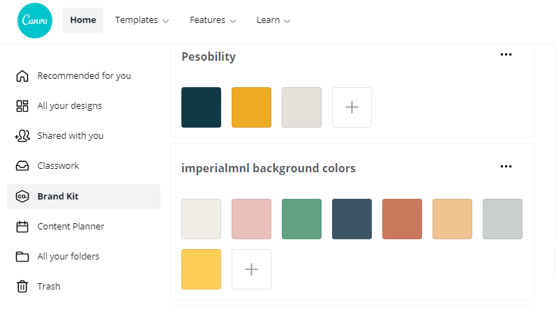 Canva brand kit